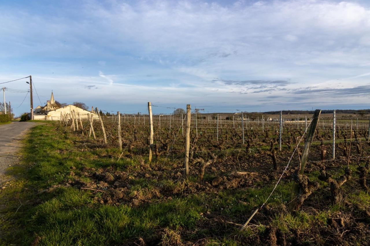 Maison Chaleureuse-Grand Jardin-Proche Saumur Parnay Eksteriør bilde